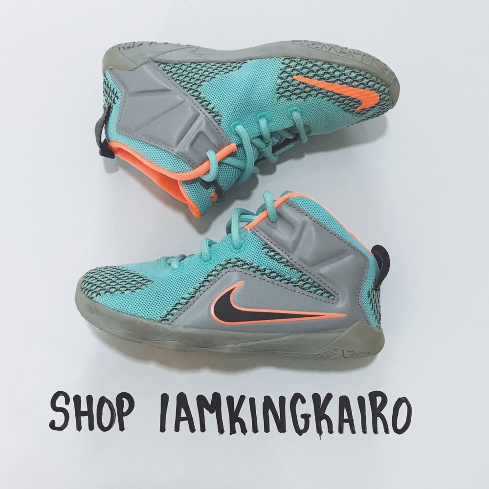 Nike Lebron 12s